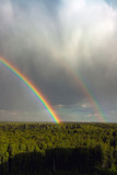 A rainbow on the horizon. seven colors of the rainbow in the sky above the forest. After the rain. Beautiful clouds.