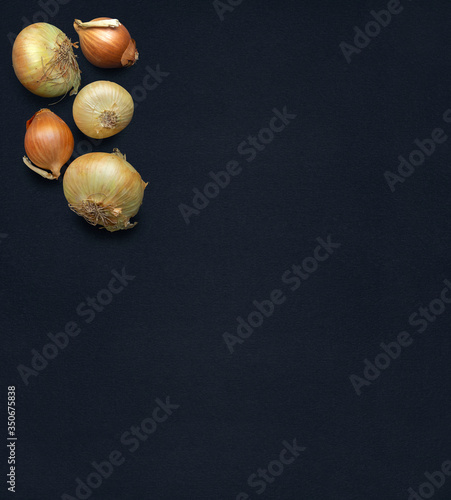 A few onions on a background of natural black textured pastel paper, top view. Space for text, banner, background.