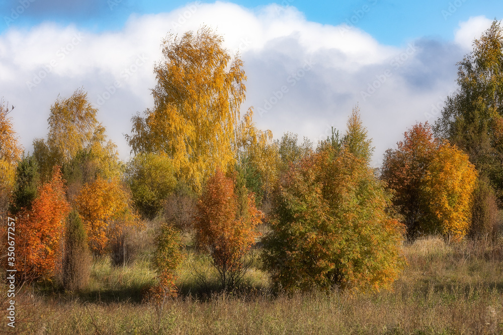 Golden autumn in the Republic of Karelia on Lake Padmozero