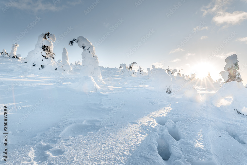 Way to the top. Landscapes of northern Karelia in the Paanajärvi National Park. Snow-covered trees at the foot of Nuorunen Mountain. Way to the top. Landscapes of northern Karelia in the Paanajärvi National Park. Snow-covered trees at the foot of Nuorunen Mountain.