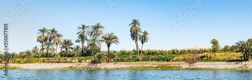 Fotografía Scenic view of palm trees on riverbank of Nile, Egypt