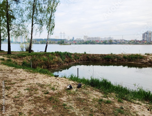 Rest in the forest near the lake. Urban landscape. Outdoor activities. Clean environment. Coastal zone near the water. The purity of nature. The reserved places. photo