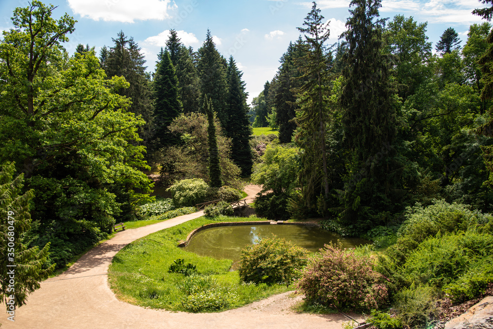 landscape Park with a small lake and beautiful green trees of different breeds landscape Park with a small lake and beautiful green trees of different breeds