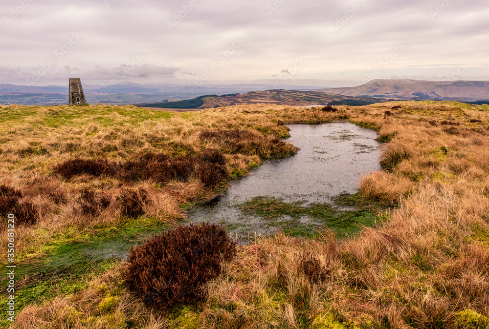 Obraz premium Pond, Duncolm, Dunbartonshire, Scotland, UK