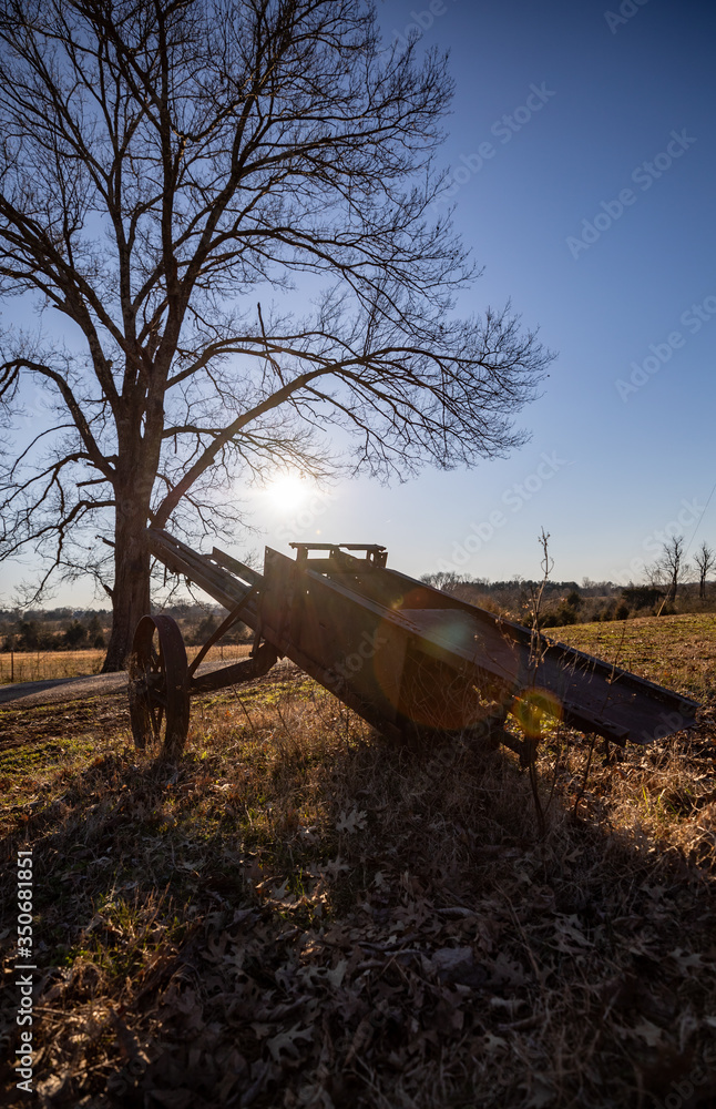 Fototapeta premium trees and old farm equipment at sundown