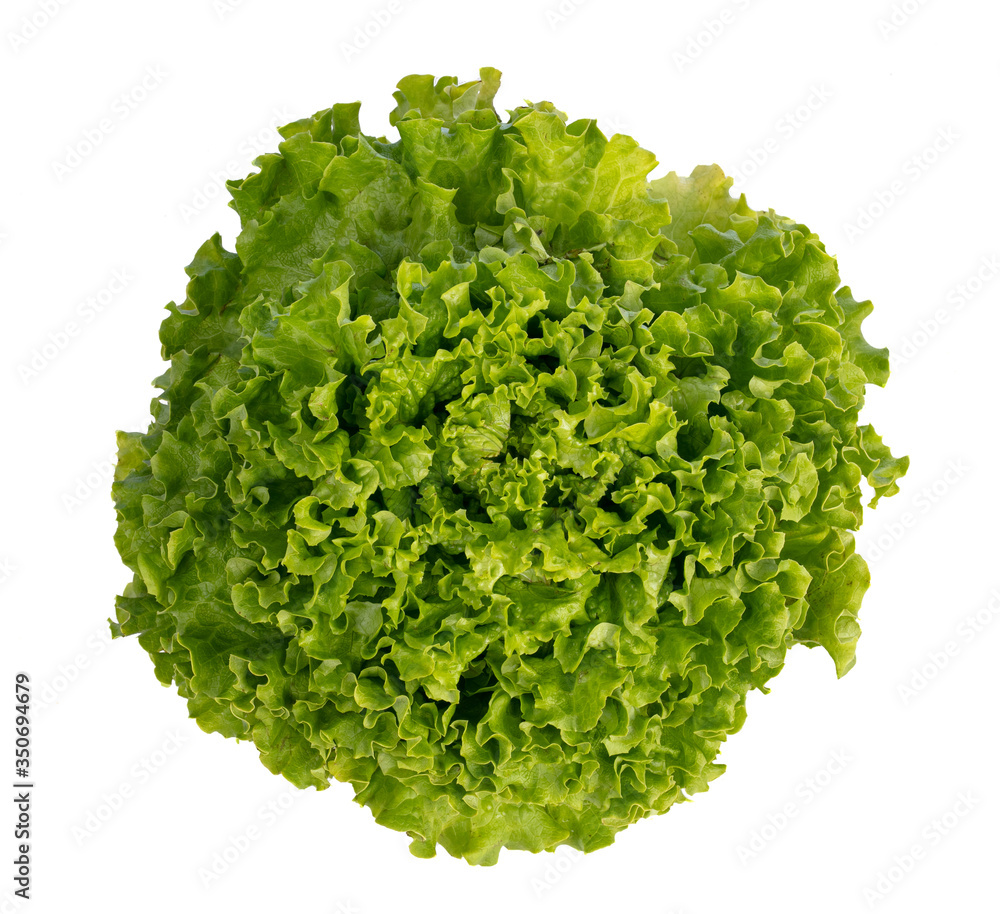 Obraz premium Fresh batavia salad on white background