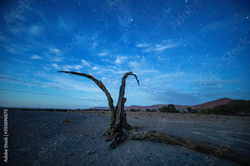 The nighttime skies just before sunrise in the Namib-Naukluft National Park