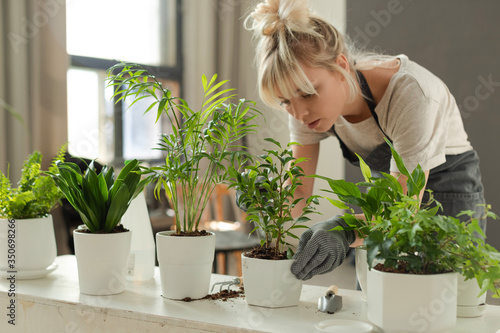 Woman grows potted plants at home, watering and replanting flowers