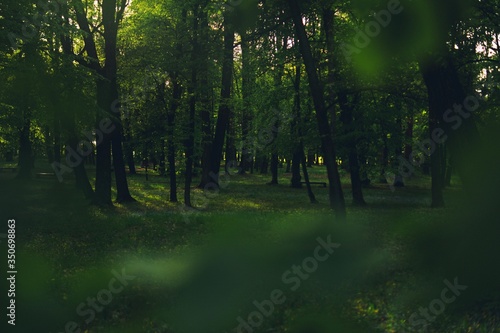 Park w mieście wiosna, Podlaskie Polska