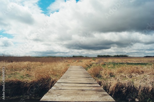 Most drewniany w parku krajobrazowym, trawy, chmury błękit © Mateusz Czarniecki