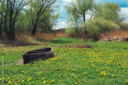 stara drewniana łódka na trawie wśród kwiatów podlaskie polska Europa © Mateusz Czarniecki
