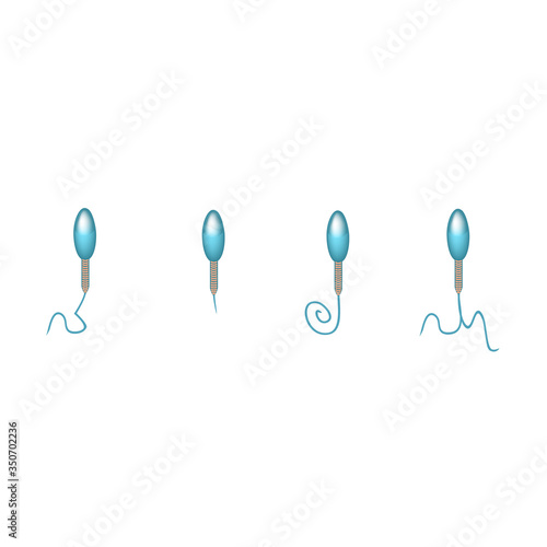 Pathological forms of sperm in the ejaculate. Male infertility Oligospermia. Spermogram. Pathology of the tail. Sperm defects. Infographics. Vector illustration on isolated background.
