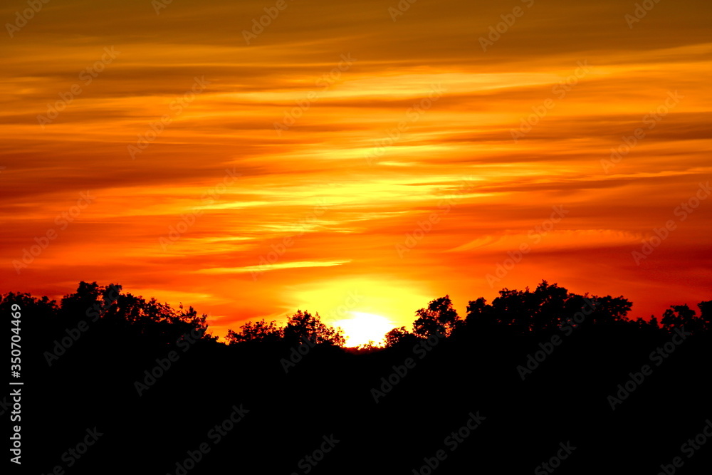Fototapeta premium Rêves magnifiques !