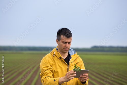 Farmer with tablet checking soybean plant in field
