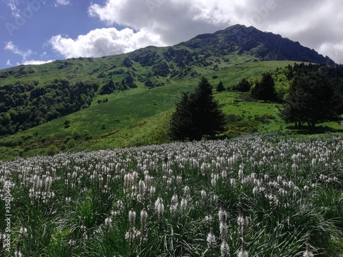 Hourquette d'Ancizan, Hautes-Pyrénées, France photo