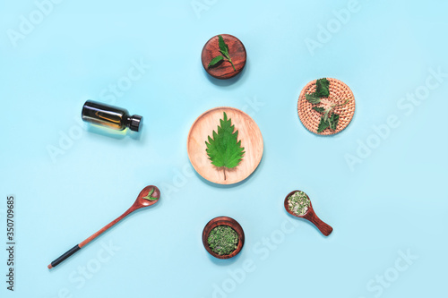 Apothecary, healthy food or herbal cosmetics concept. Fresh young spring leaves, dry and ground nettle, salt with herbs in wood spoon,bottle with oil on pastel blue background. Flat lay
