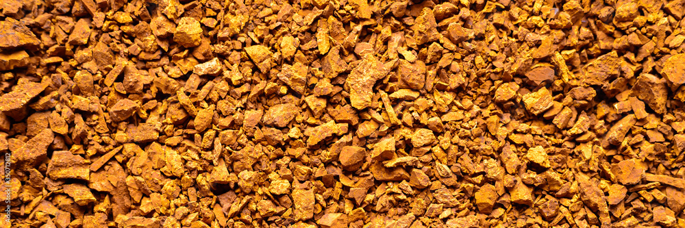 chaga mushroom. background of small broken pieces of birch fungus chaga. banner chaga mushroom. background of small broken pieces of birch fungus chaga. banner