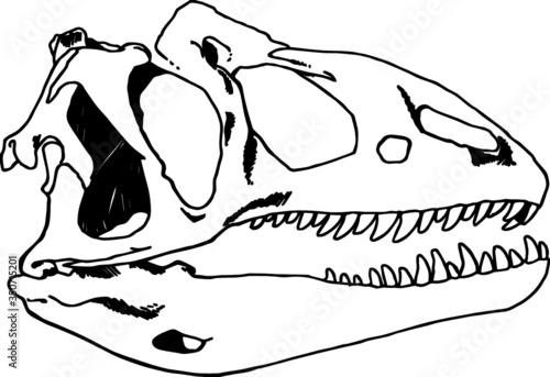 Dino Skull