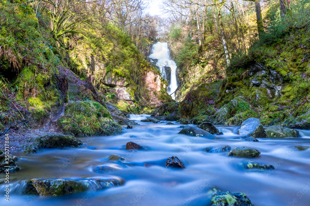 Queen Elizabeth Forest Park is a 19,665hectare forest park in the