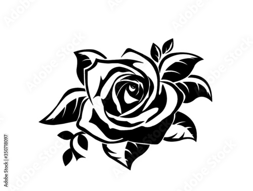 La Belleza de una Flor.