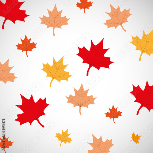 canada day maple leafs background vector illustration design