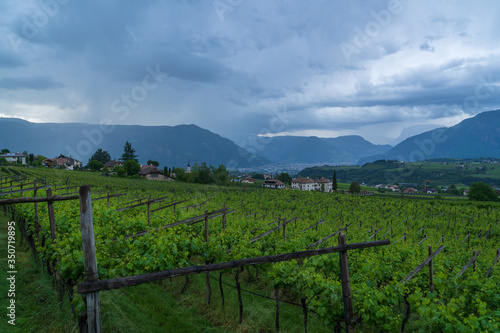 The municipality of Appiano in South Tyrol in northern Italy.