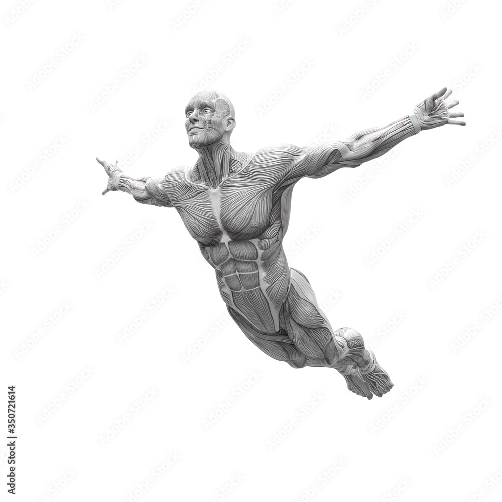muscleman anatomy heroic body doing a free jump in white background muscleman anatomy heroic body doing a free jump in white background