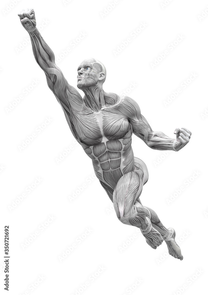muscleman anatomy heroic body is flying up in white background muscleman anatomy heroic body is flying up in white background