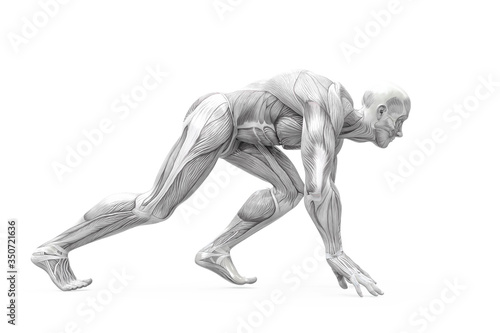 muscleman anatomy heroic body doing a runner pose in white background