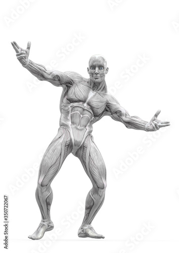 muscleman anatomy heroic body dancing pose two in white background
