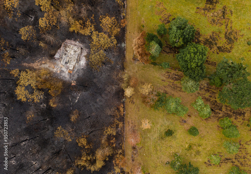 Forest wildfire in the forest with some burned trees and houses. Ashes from wood and houses
