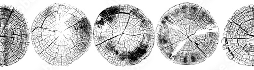 Seamless vector border pattern with round old tree stumps, rough textured surfaces, rings on tree. Grunge background. One color graphic resource.
