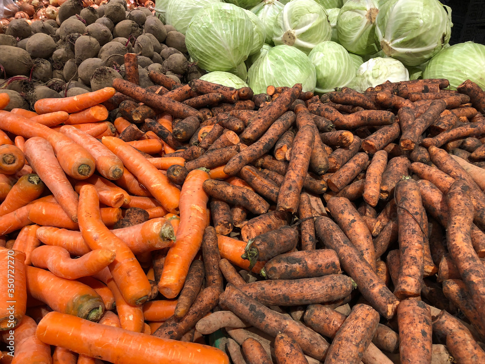 Washed and unwashed carrots with beet, cabbage, vegetables concept Washed and unwashed carrots with beet, cabbage, vegetables concept
