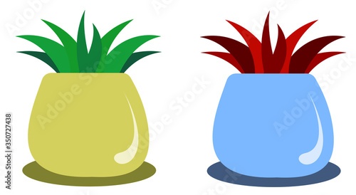 sapling pot houseplant seedling plant home decoration red leaves icon vector