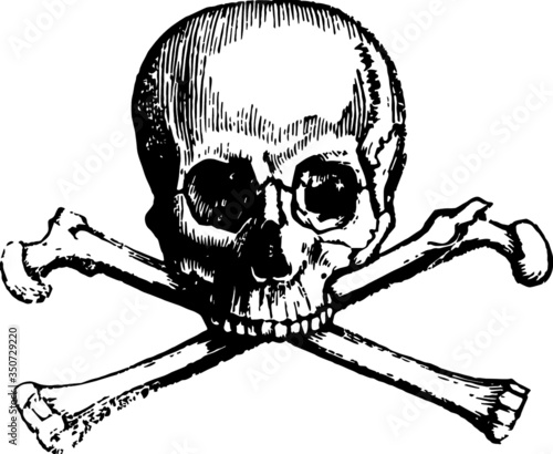 Artists Sketch of a Skull And Crossbones