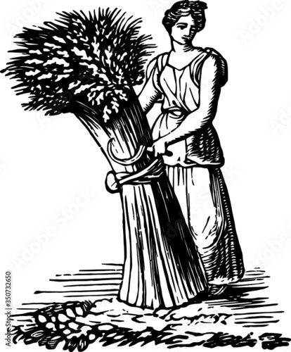 Old Vintage Drawing of a Wheat Gatherer, Vector Drawing of a engraving from the 19th century