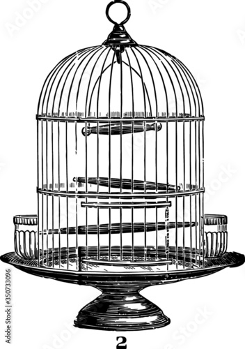 Vector Sketch of a Wire Bird Cage, Vector Sketch of a 19th century engraving