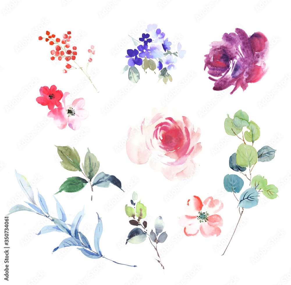 Obraz Watercolor flowers