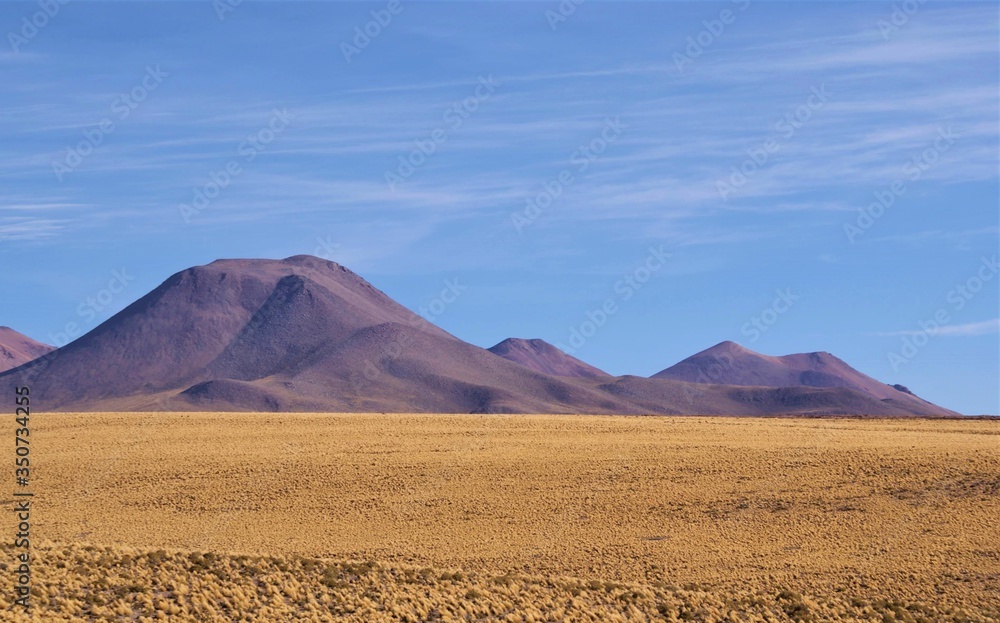 Natural beauties in the Atacama Desert. Antofagasta, Chile