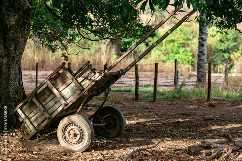obsolete old displacement medium abandoned from low tree
