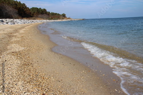 sandy beach in the morning