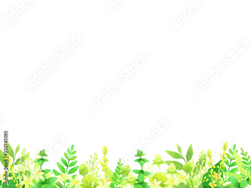 さわやかな植物のイラスト背景