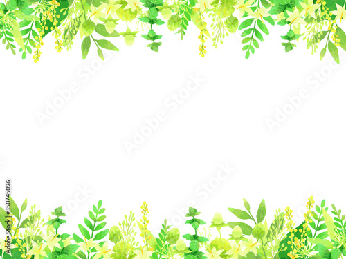さわやかな植物のイラスト背景