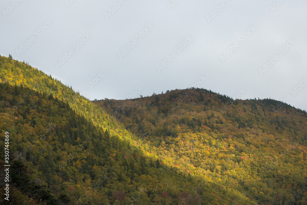 Stunning autumn colors of Cabot Trail, Cape Breton as the sun rays fall on the mountains. Fall foliage of the mountains with multi colored deciduous trees