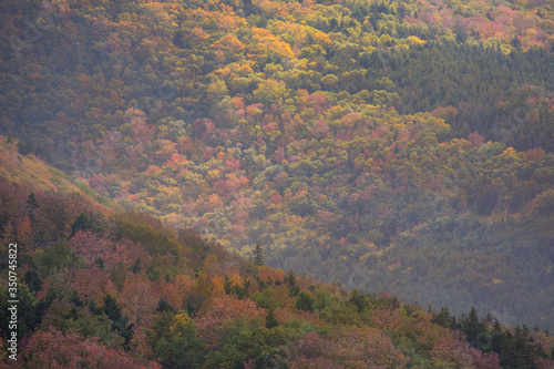 Autumn colors of Cabot Trail, Cape Breton Nova Scotia. Fall foliage of the mountains with multi colored deciduous trees, Cabot Trail 