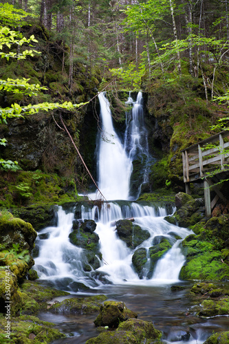 Pristine waterfalls with dense green natural forest trees in the middle of Fundy National Park. Dickson Falls  New Brunswick  Canada 