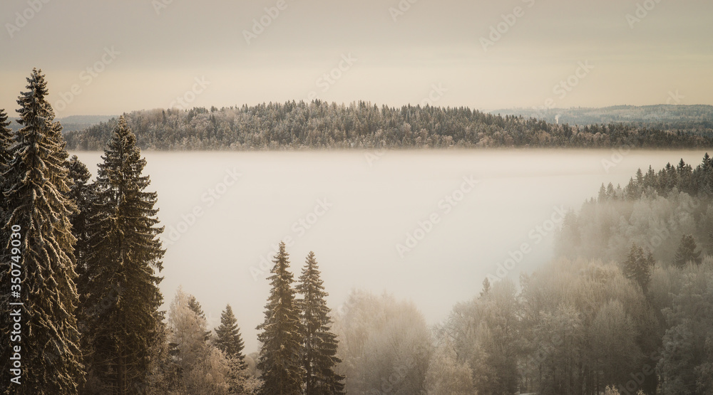 Fototapeta premium Snowy day in Finland