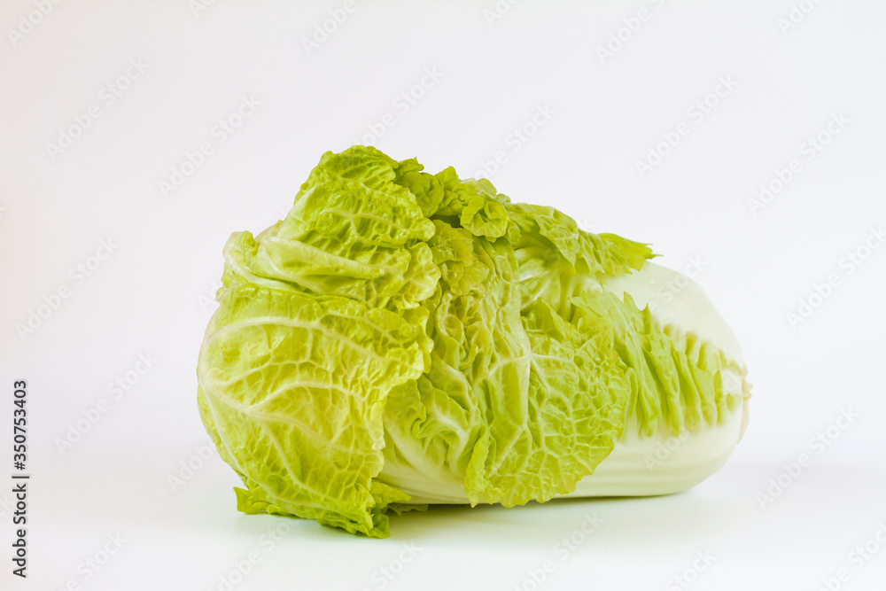 napa cabbage close up on a white background napa cabbage close up on a white background
