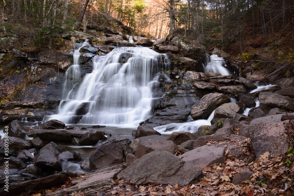 waterfall in the forest waterfall in the forest