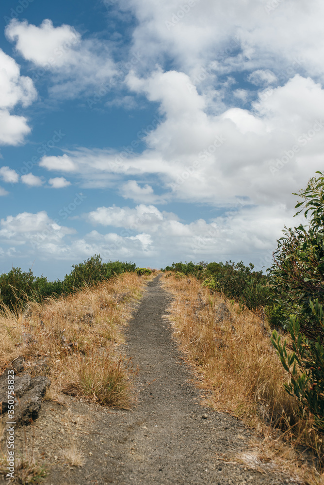 Fototapeta premium Path up a hill